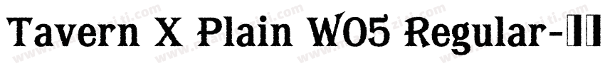 Tavern X Plain W05 Regular字体转换